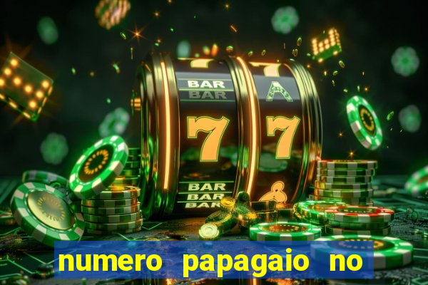 numero papagaio no jogo do bicho